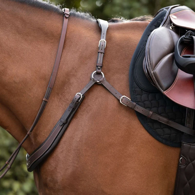 Kavalkade Collier de Chasse Jerome 2-Points Marron