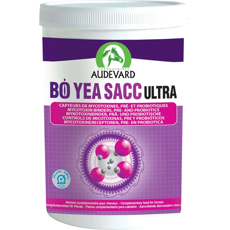 Audevard Bo Yeas Act Ultra