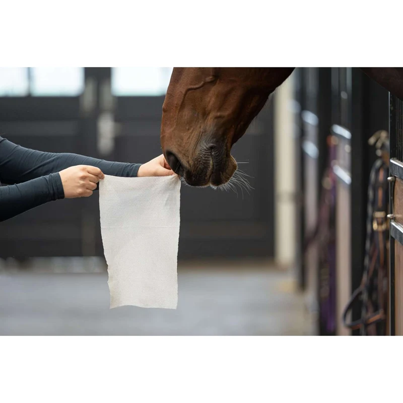 HB HorseWipes Natural Clean Blanc