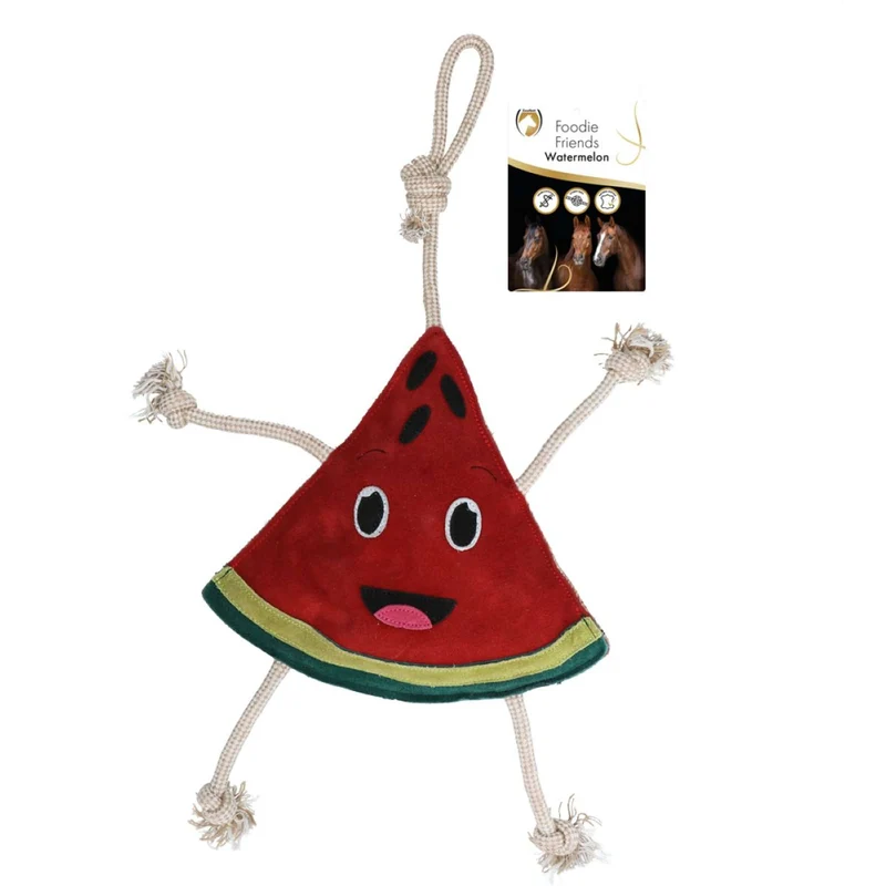 Excellent Horse Foodie Friends Watermelon
