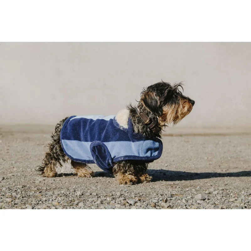EQUITHÈME Couverture pour Chien New Market Marin