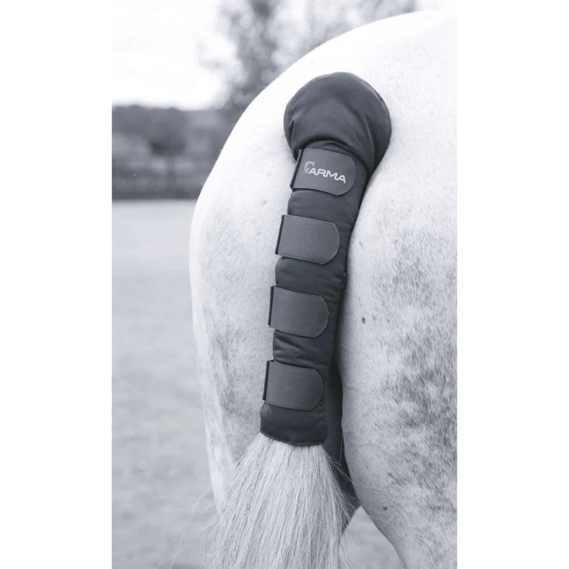 Arma by Shires Protege Queue Padded Noir