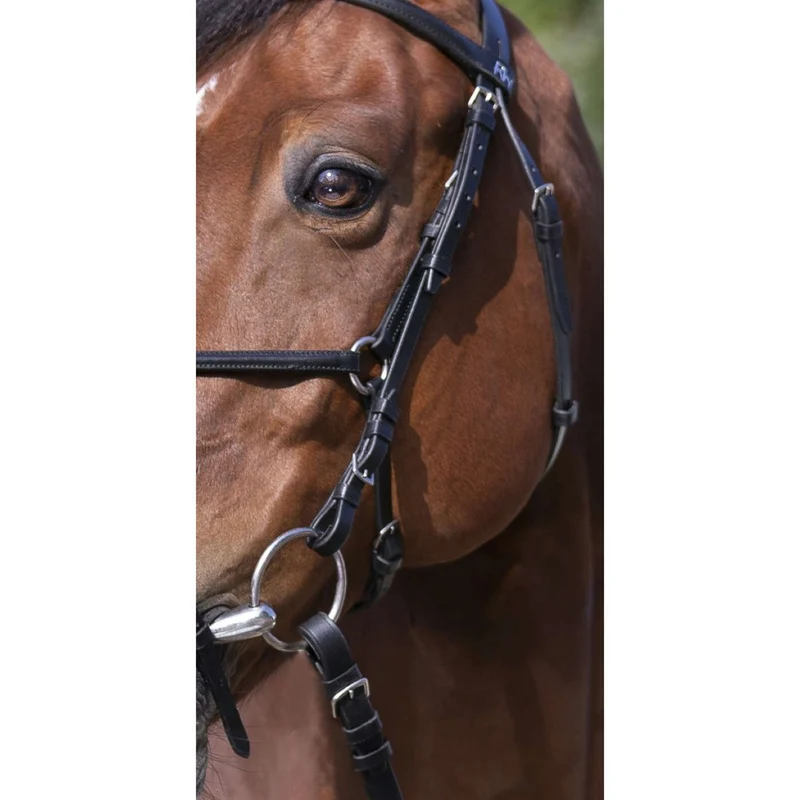 Riding World Bride avec Muserolle Mexicaine Noir