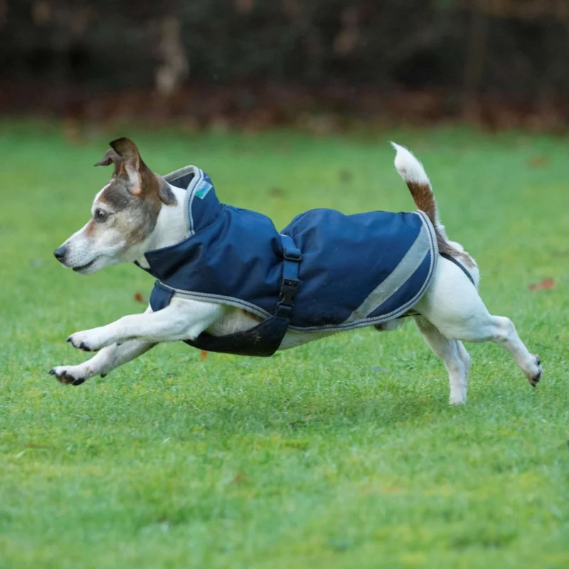 Bucas Freedom Couverture pour Chien 50g Marin