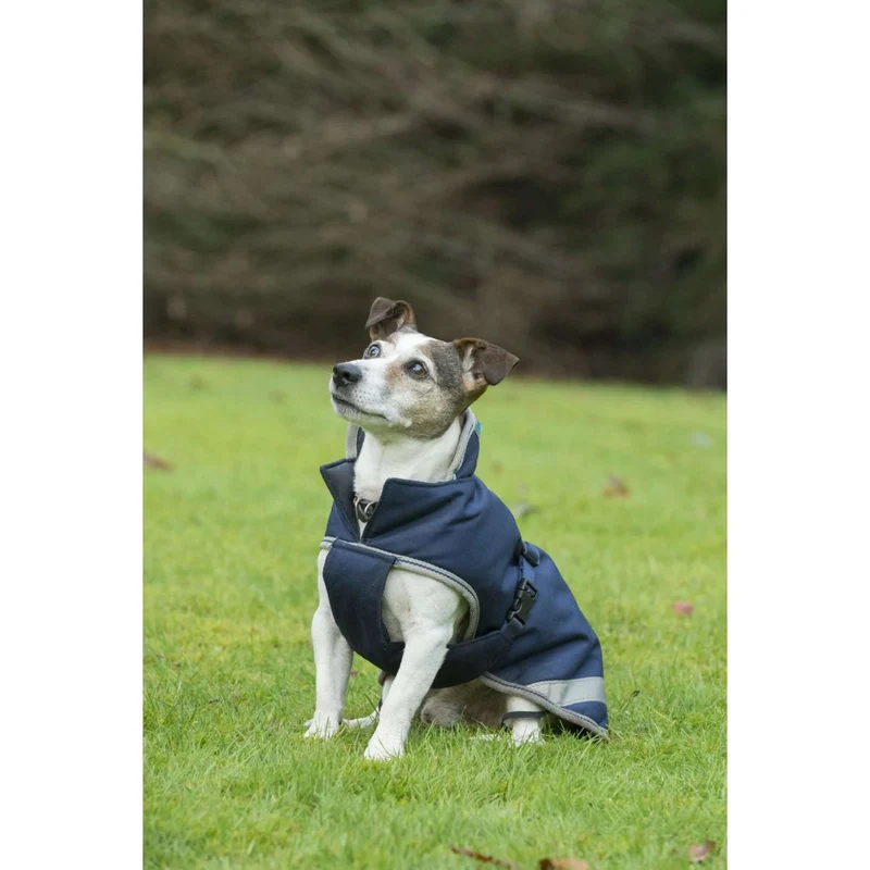 Bucas Freedom Couverture pour Chien 50g Marin