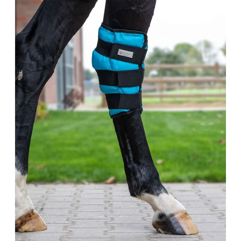 Waldhausen Health + Care Ice Boot Gel Talon Petrol