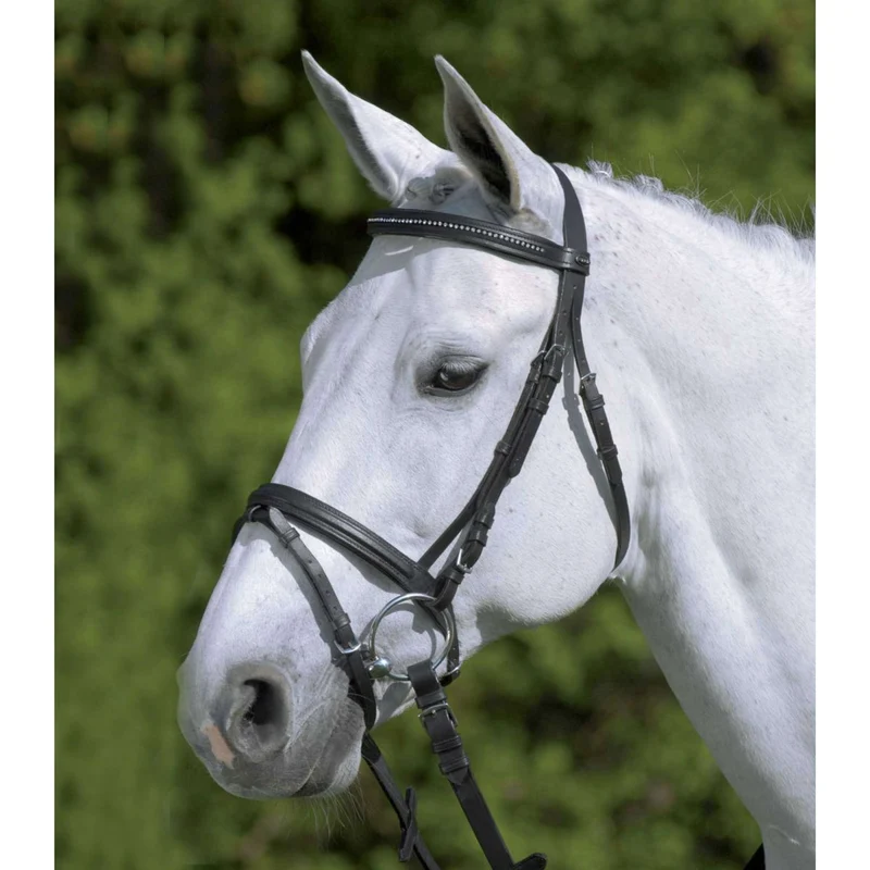 Star Bridon Diamond Anglais Combiné Noir