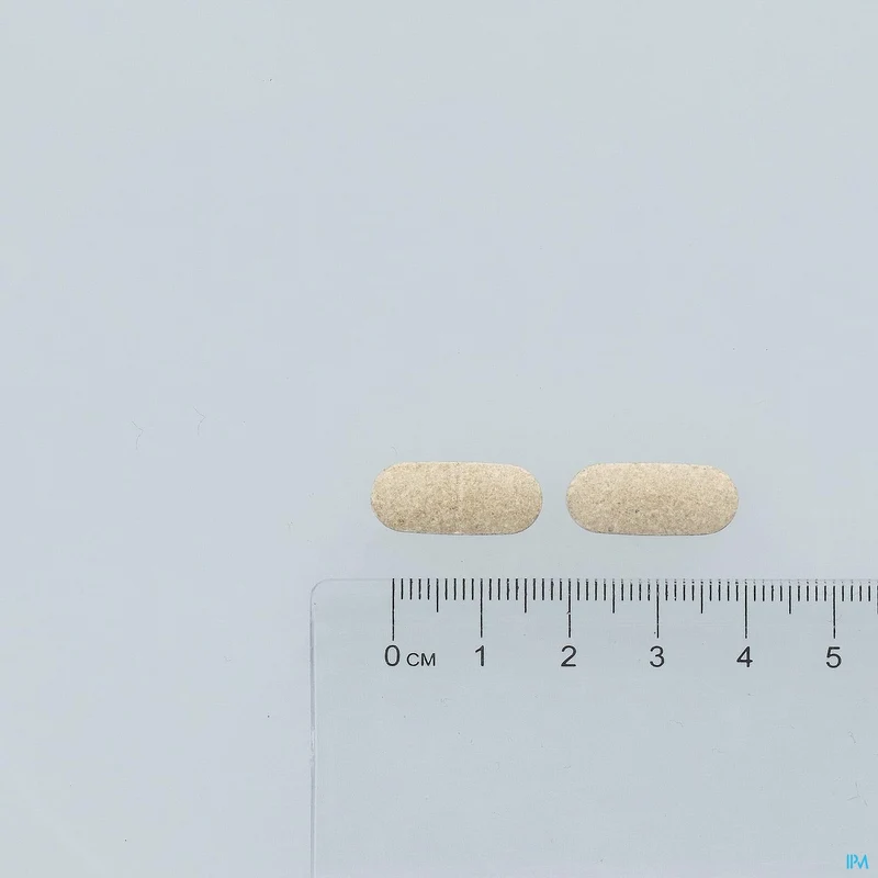 Androxir | 30 tabletten | Geheugen & Cognitie Supplement