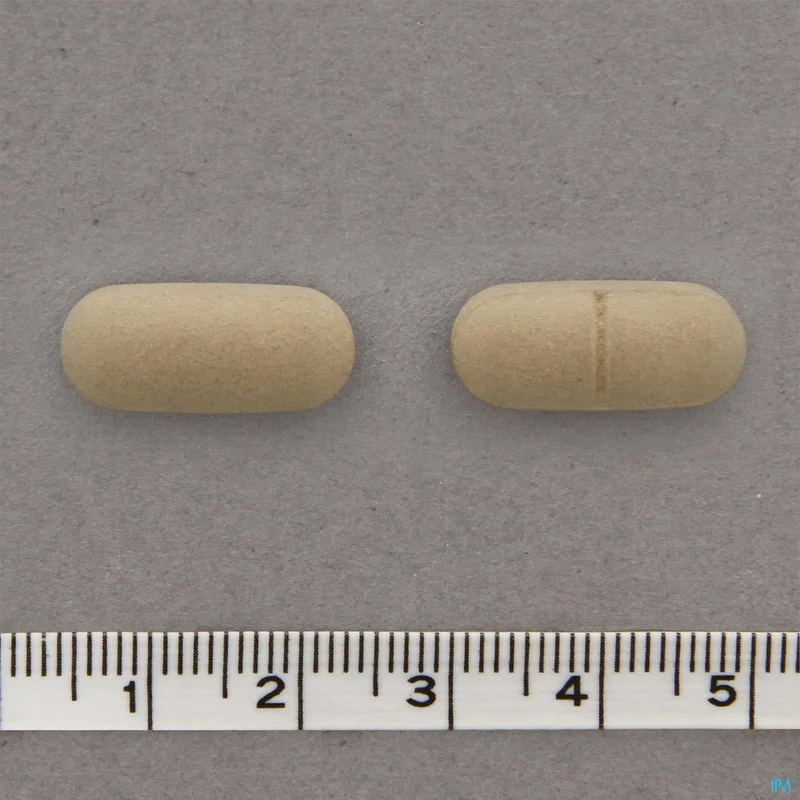 Androxir | 30 tabletten | Geheugen & Cognitie Supplement