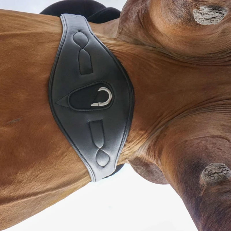 Kavalkade Sangle Comfort sans Élastique Noir