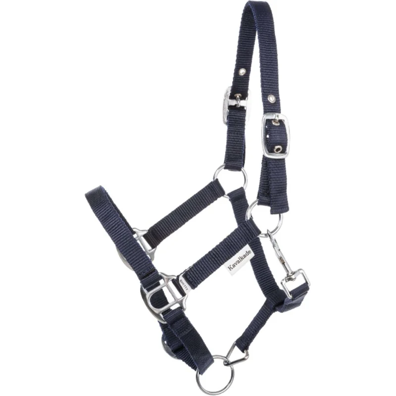 Kavalkade Licol Shorty Marin