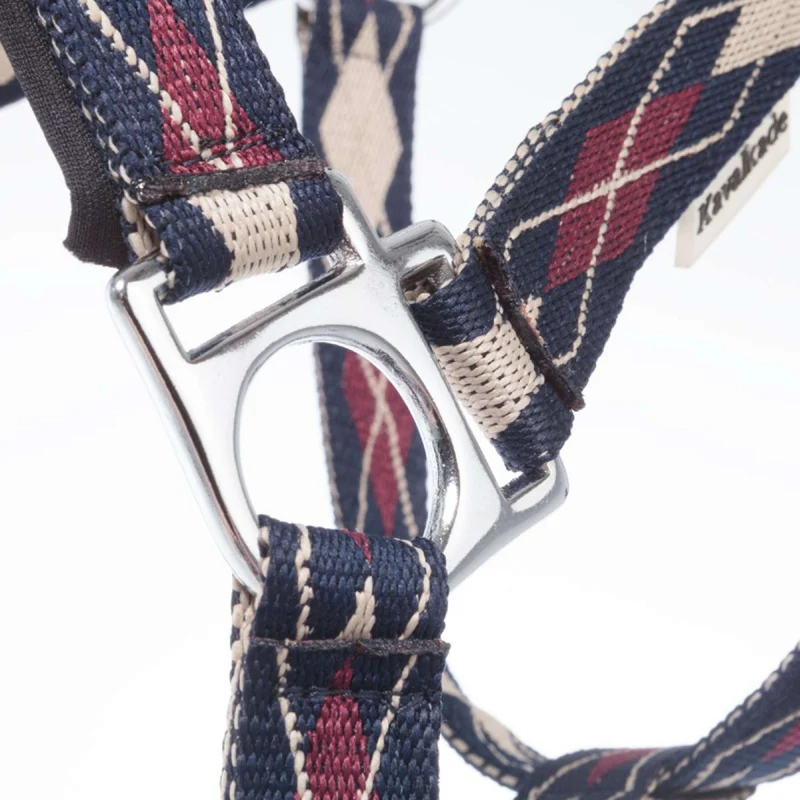 Kavalkade Licol Classic Raute Bleu/Creme/Bordeaux