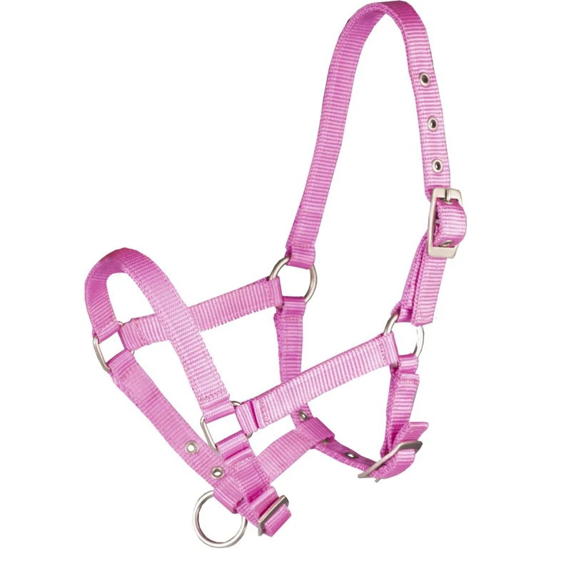 HORKA Licol Basic Poulain Hot Pink
