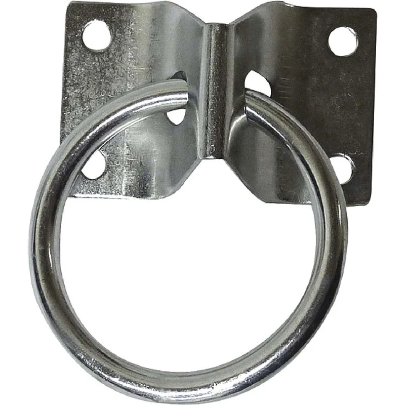 Hippotonic Anneau de Fixation avec Plaque