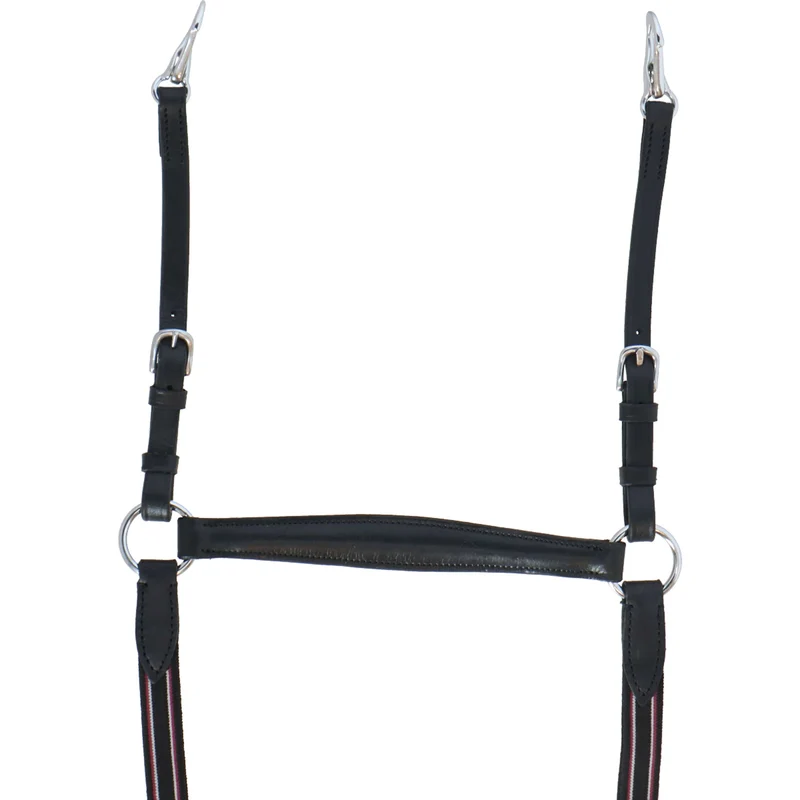 HB Collier de Chasse Leer Noir