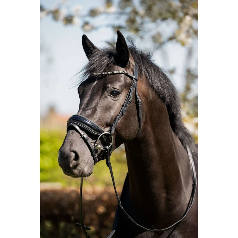 HB Bride Showtime Evalira Noir/Gris
