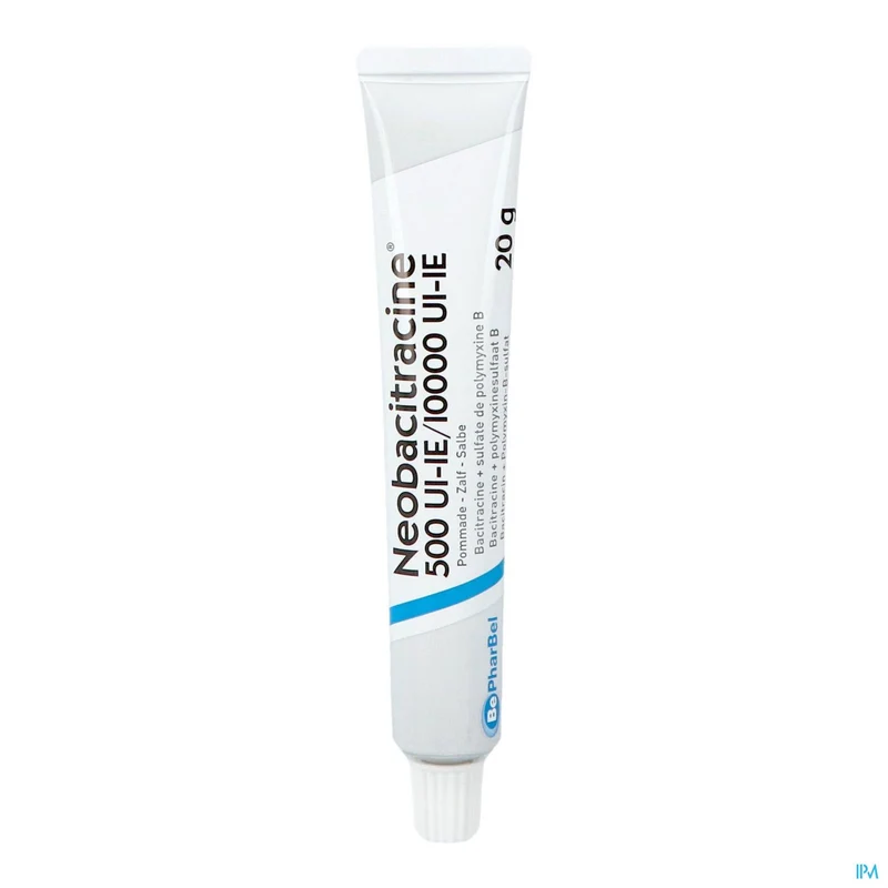 Neobacitracine Nf Pomm. Derm. 20g