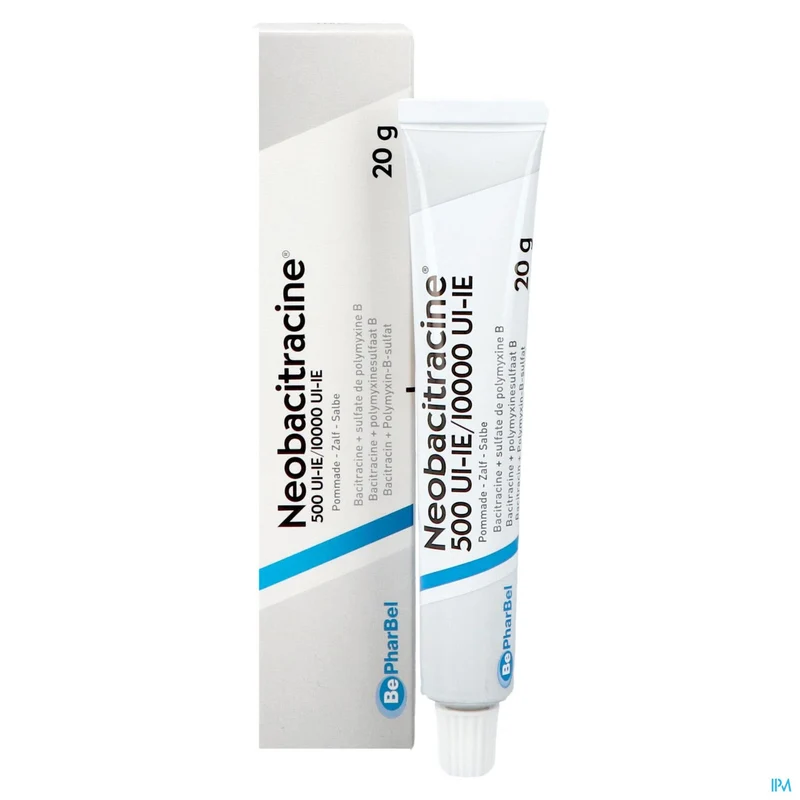 Neobacitracine Nf Pomm. Derm. 20g