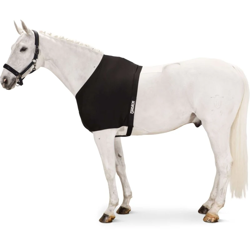 Eskadron Protection de Poitrail DynAirMesh Noir