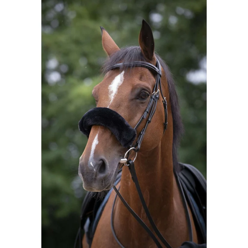 EQUITHÈME Fourreau Muserolle Teddy Noir