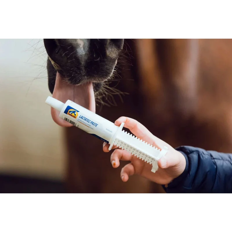Cavalor Lactatec Paste