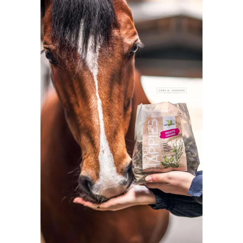 Bense & Eicke Friandises pour Cheval Wiesen Happies Graines de Lin Rose Musquée