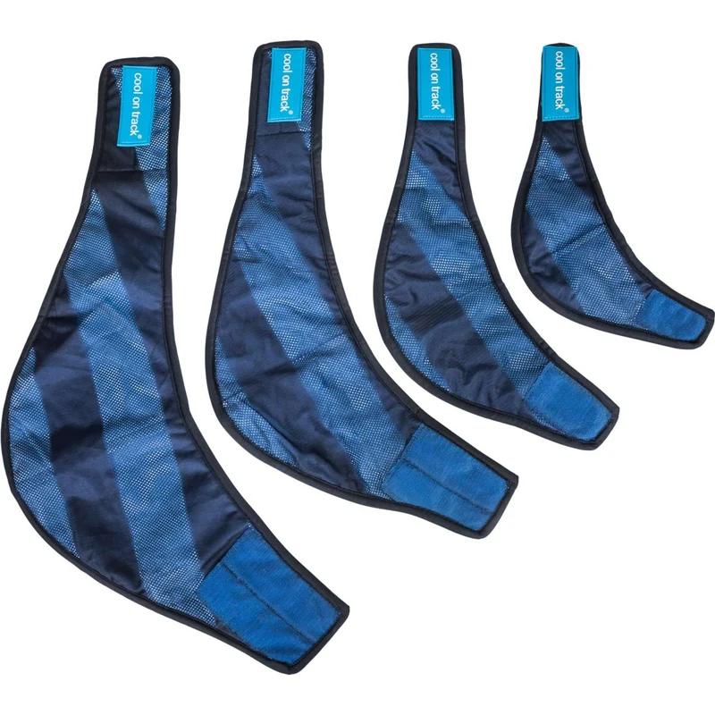 Back on Track Cooling Bandana Bleu