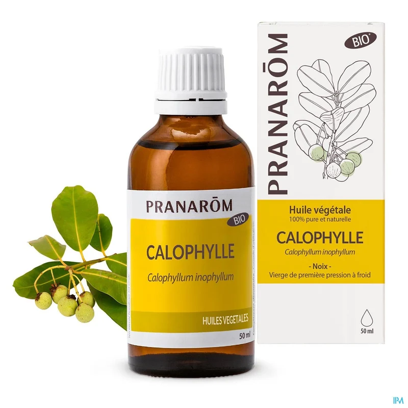 Pranarom Calophyllus Bio | 50ml Plantolie | Natuurlijke Zorg
